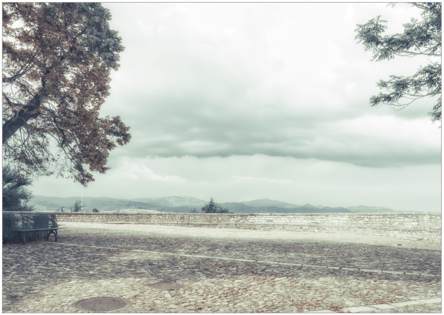 oltre_19
